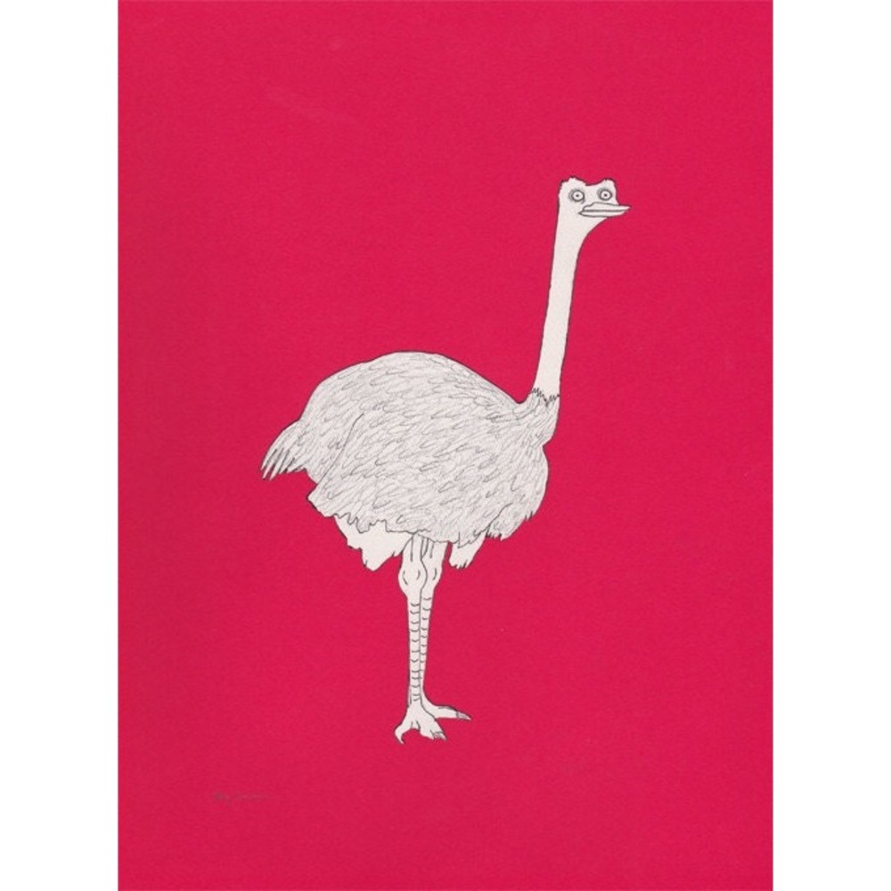 The Ostrich - Original Drawing